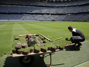 Am 27. Mai können zehn Fußball-Fans ein Stück des Rasens aus der Münchner Arena mit nach Hause nehmen. Foto: picture-alliance