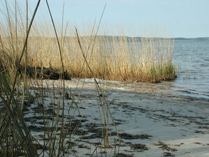 Insel Vilm bei Rügen