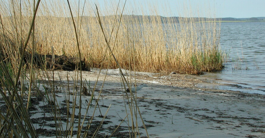 Insel Vilm bei Rügen