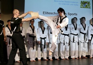 Taekwondo-Einlage mit Bruchtest bei der Prädikatsübergabe an die Bertolt-Brecht-Schule in Nürnberg.