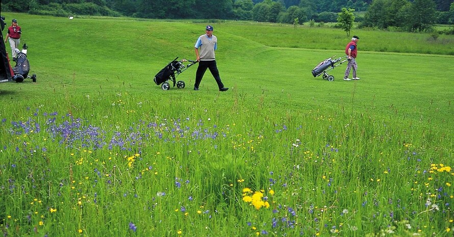 Ökologische Nieschen auf den nicht gemähten Bereichen des Geländes geschaffen. Foto: Golfclub Schwäbisch Hall