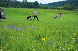 Ökologische Nieschen auf den nicht gemähten Bereichen des Geländes geschaffen. Foto: Golfclub Schwäbisch Hall
