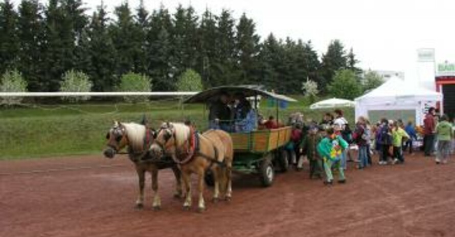 Die Kutschfahrten waren besonders bei den jüngsten Teilnehmern und Gästen beliebt (Foto: Landessportverband Thüringen)