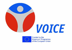 Das VOICE-Projekt wird von der EU im Rahmen des Programms Erasmus+ gefördert und setzt sich zum Ziel, den Betroffenen von sexualisierter Gewalt im gemeinnützig organisierten Sport eine Stimme zu geben.