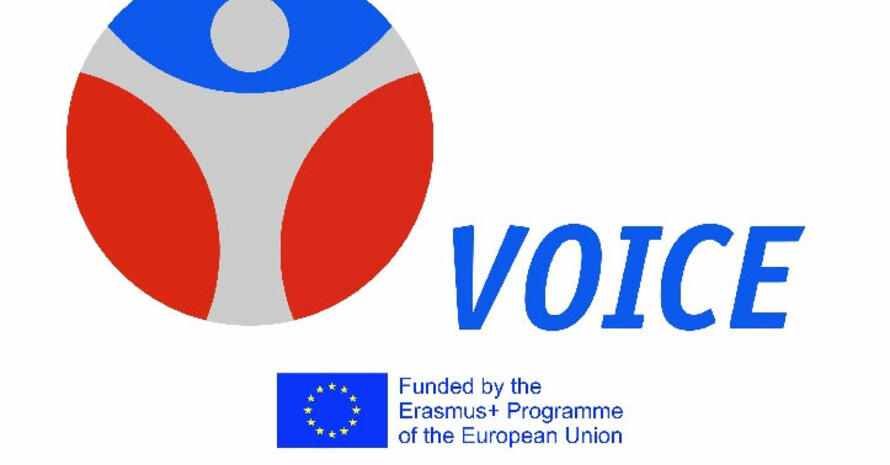 Das VOICE-Projekt wird von der EU im Rahmen des Programms Erasmus+ gefördert und setzt sich zum Ziel, den Betroffenen von sexualisierter Gewalt im gemeinnützig organisierten Sport eine Stimme zu geben.